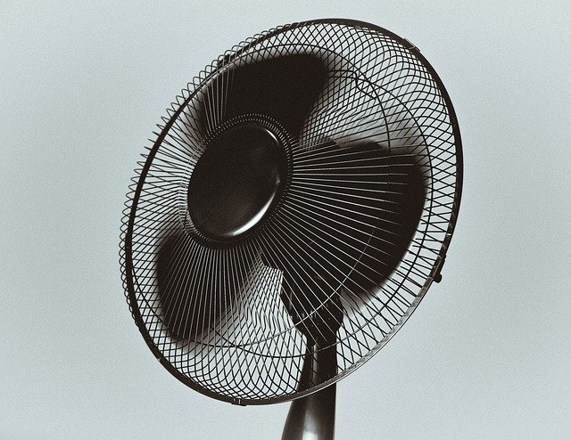 black-926117_640 Black floor fan